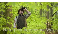 Ranger Oliver Szodruch im Laubwald