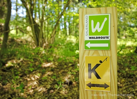 Markierungszeichen Waldroute und Klangwald
