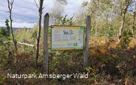 Waldroutensagen: Sagenhafte Schatzgräber in Stockum