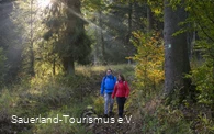 Wanderer auf der Sauerland-Waldroute